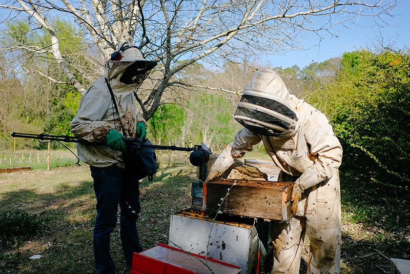 Imagen de artistas grabando a abejas con traje de apicultor