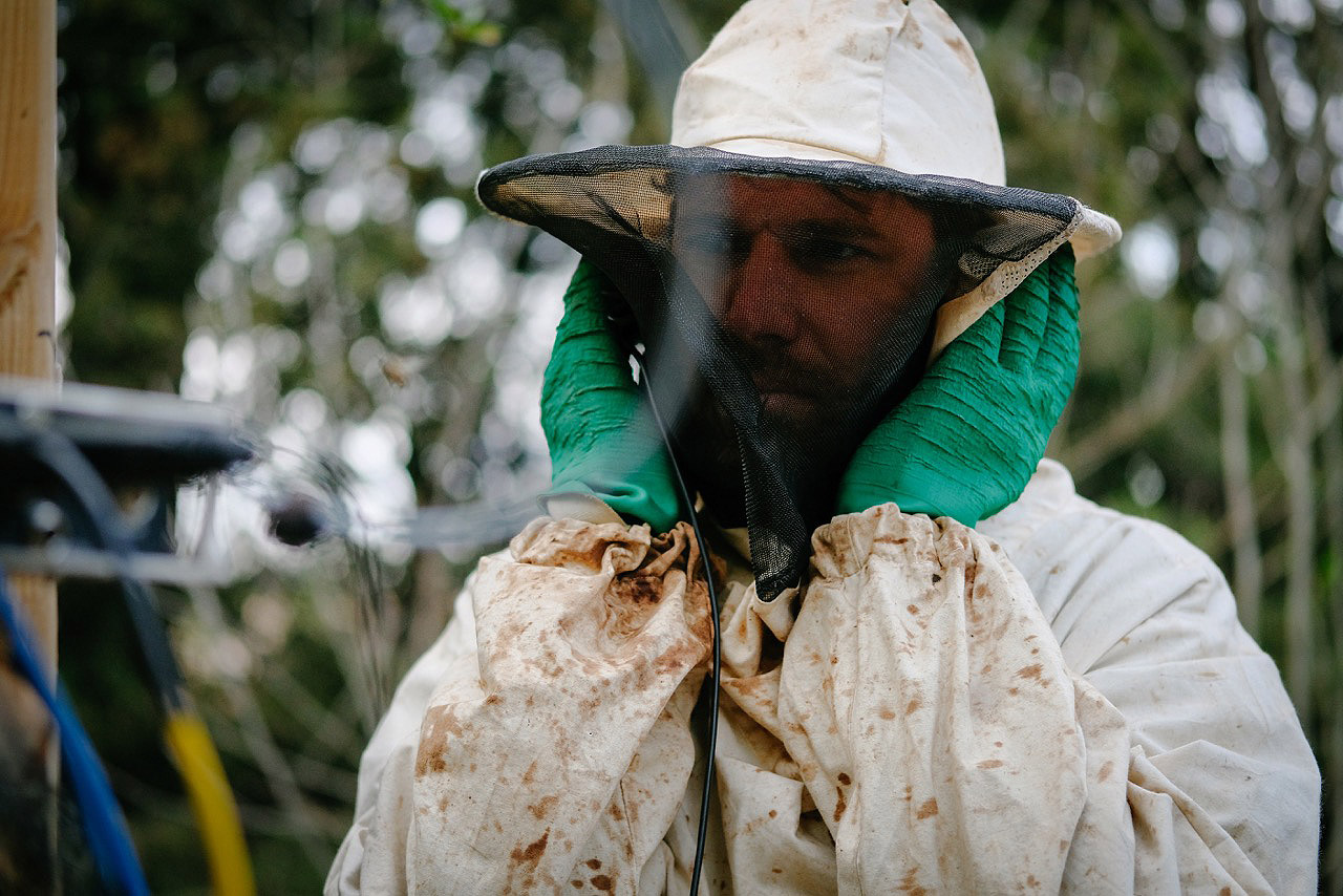 Imagen de artista escuchando abejas con traje de apicultor