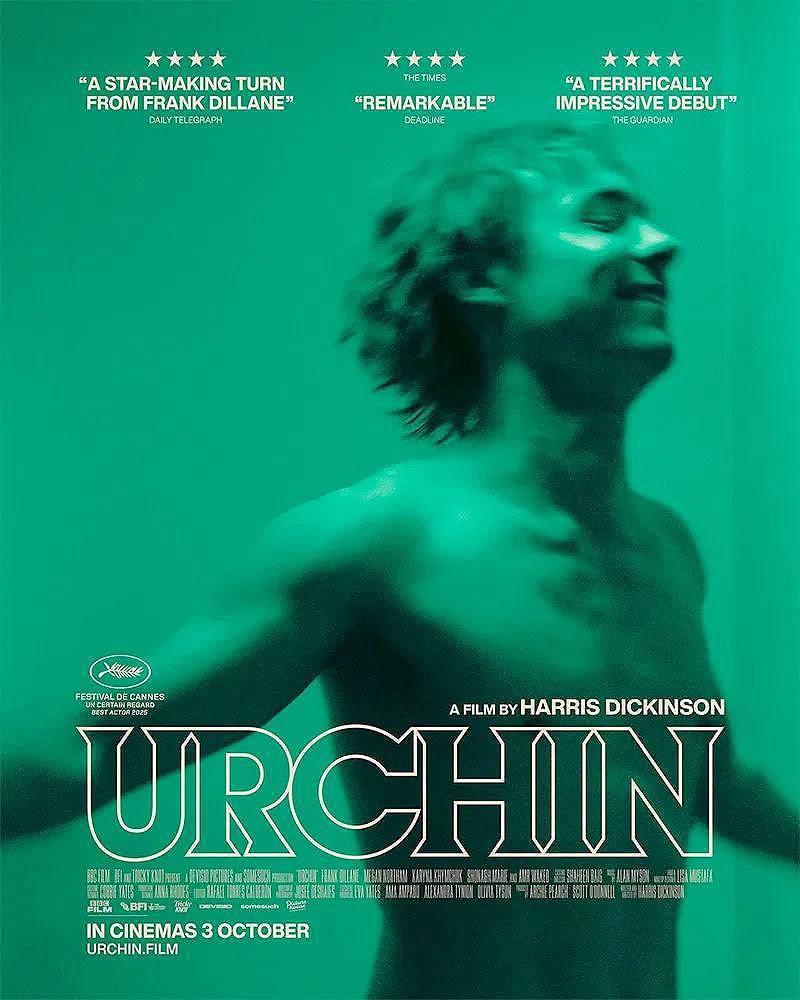 Festival de San Sebastián - poster de la película Urchín