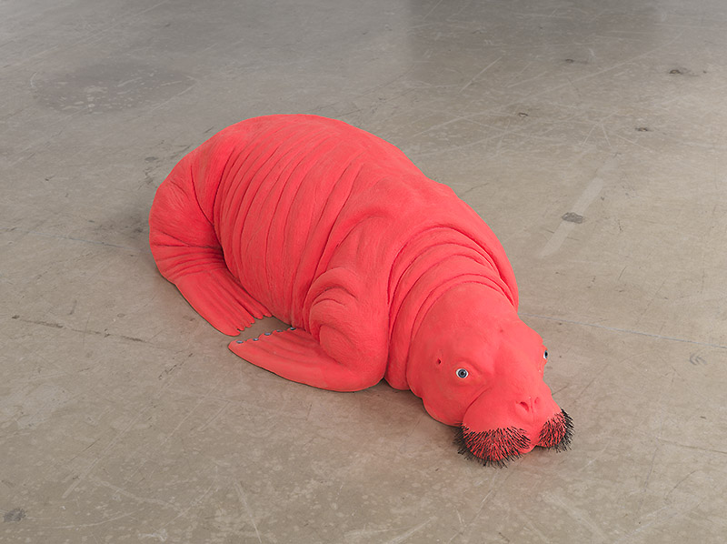 Imagen de morsa rosa