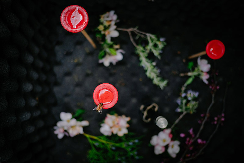 Primer plano de altavoces de la exposición