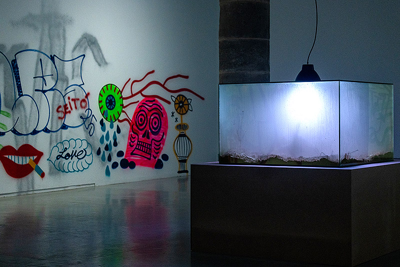 karlos Gil, vista instalacion artística con grafitis en las paredes en la Panera de Lleida