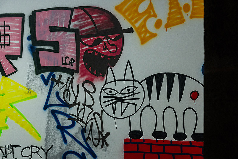 karlos Gil, vista instalacion artística con grafitis en las paredes en la Panera de Lleida