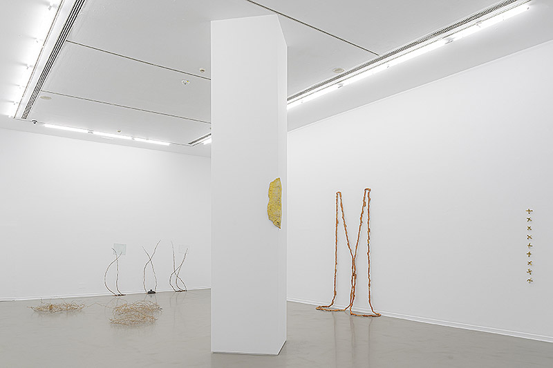Oro tejido con Paja - vista de la exposición con esculturas por las paredes y el suelo