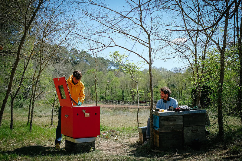 Construcción de caja para las abejas
