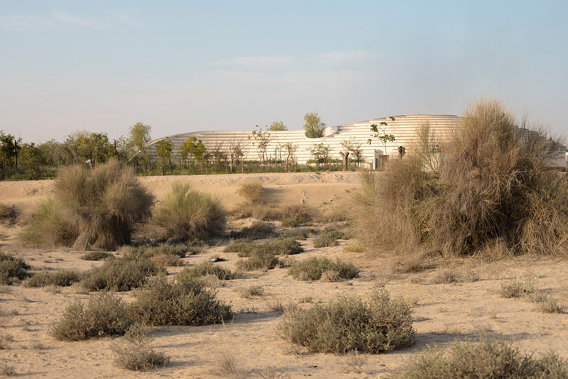 Vista exterior del Centro de Experiencia Ghaf Woods diseñado por Aoe estudio arquitectura china desde el desierto