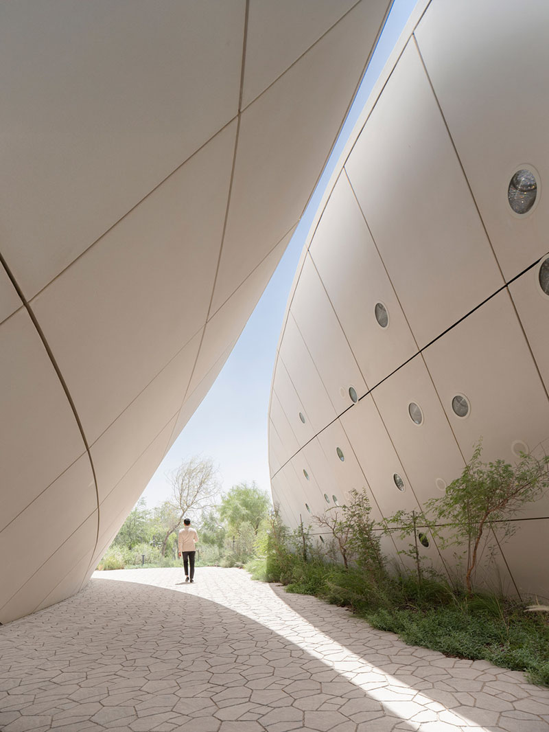 Pasillo entre volúmenes curvos del Centro de Experiencia Ghaf Woods proyectado por Aoe estudio arquitectura china
