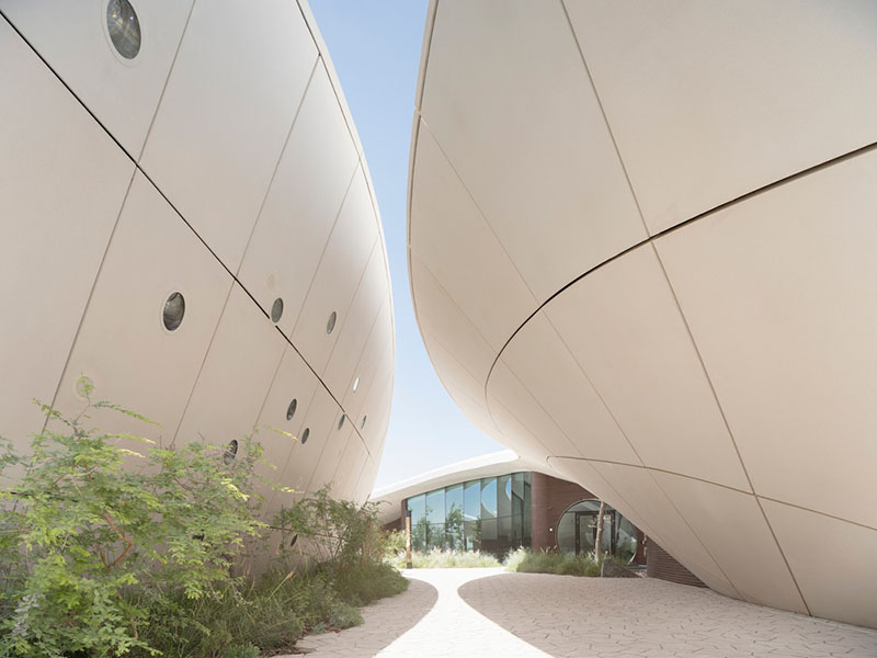 Paso estrecho entre volúmenes curvos del Centro de Experiencia Ghaf Woods proyectado por Aoe estudio arquitectura china