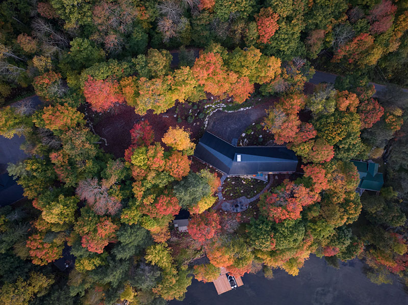 Vista aérea de la residencia de Barbora Vokac Taylor Architect rodeada de bosque otoñal