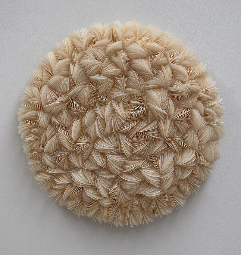 Composición circular de materiales naturales