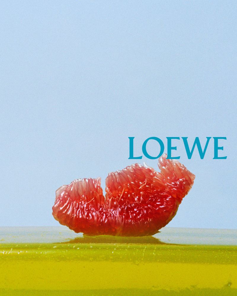 Jack McCollough Lazaro Hernandez nuevos directores creativos de Loewe
