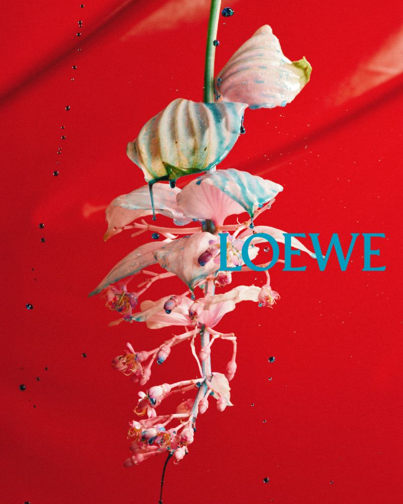 Adelanto Loewe ss26 nuevos directores creativos