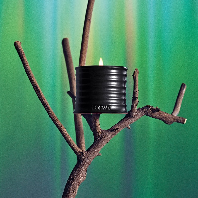 nuevo olor casa palo santo loewe perfumes