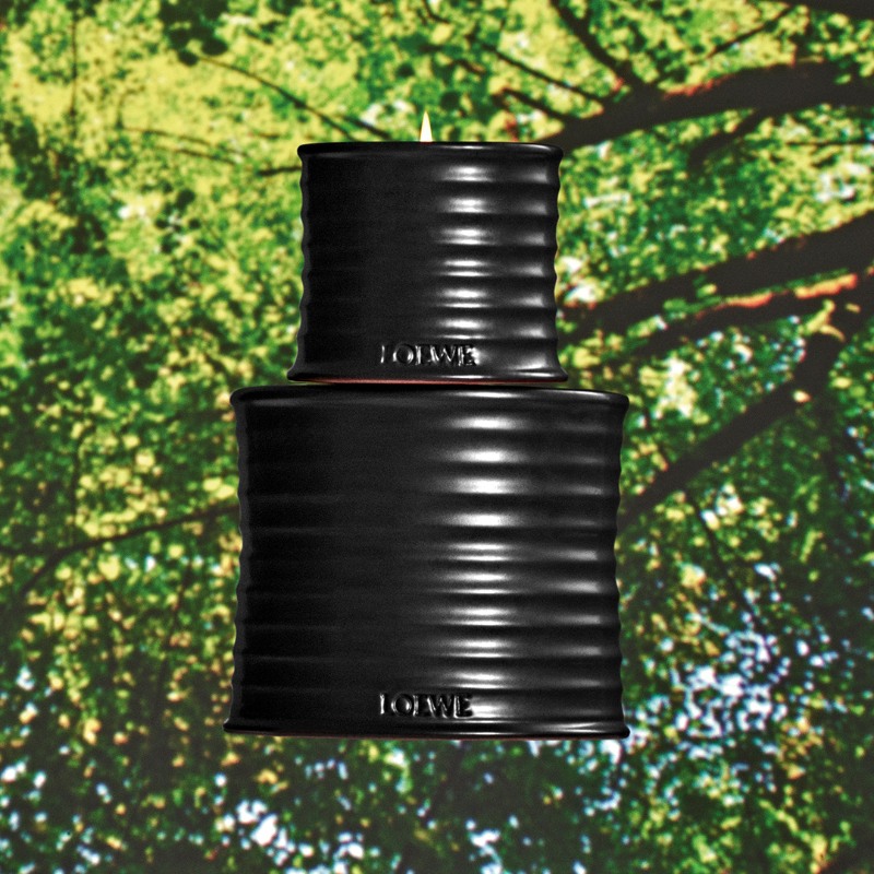 nuevo olor casa palo santo loewe perfumes