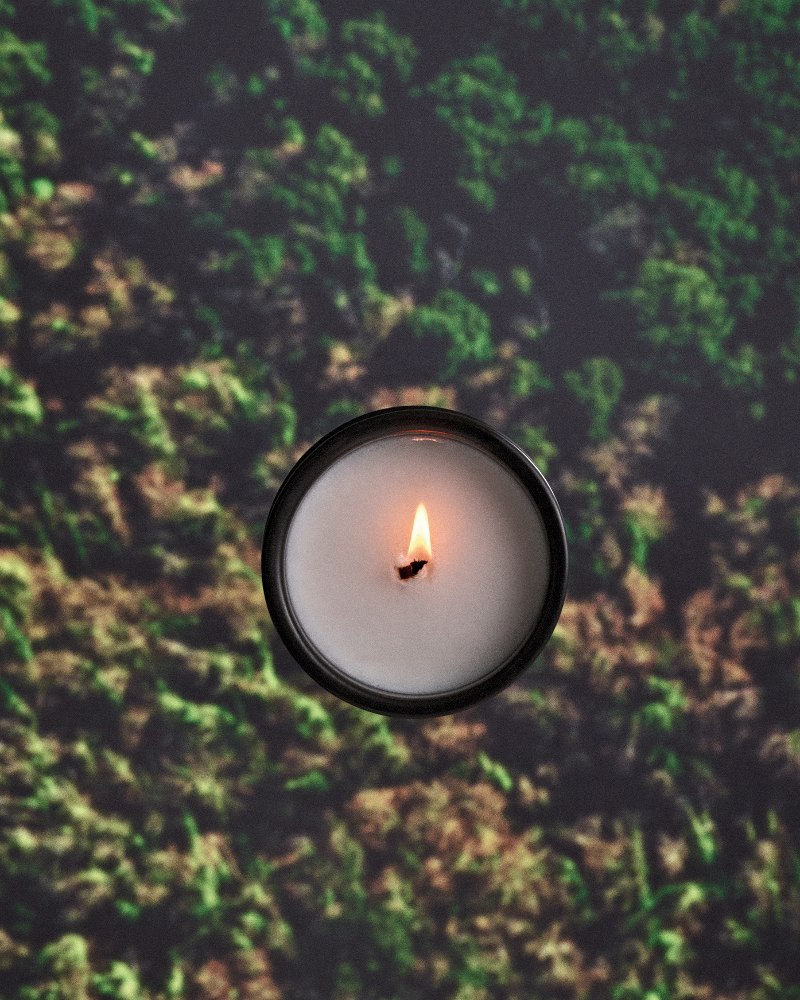 nuevo olor casa palo santo loewe perfumes