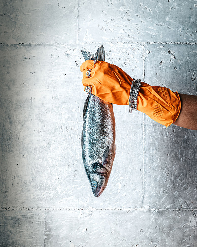 Plastic Box de Minimal Studio en Mallorca: una mano con cuante sujeta un pez