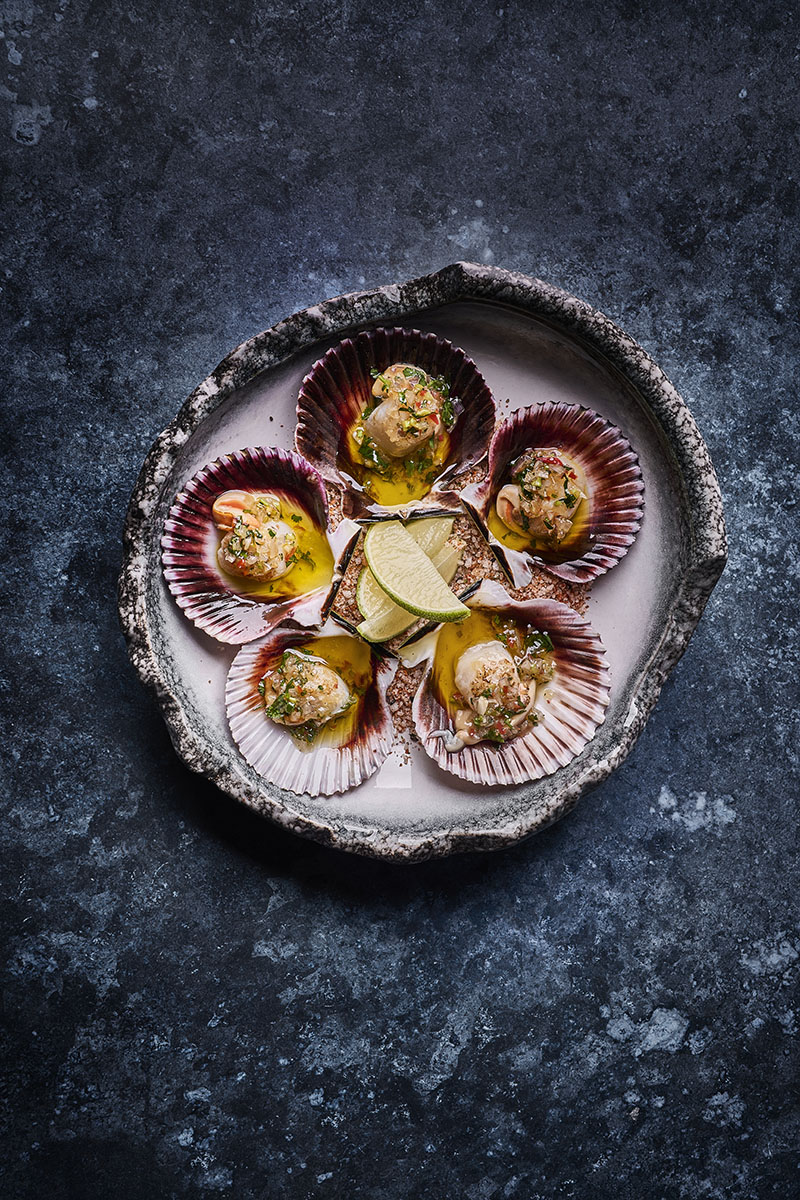 Pucará Orígenes: vieiras del pacífico criollas