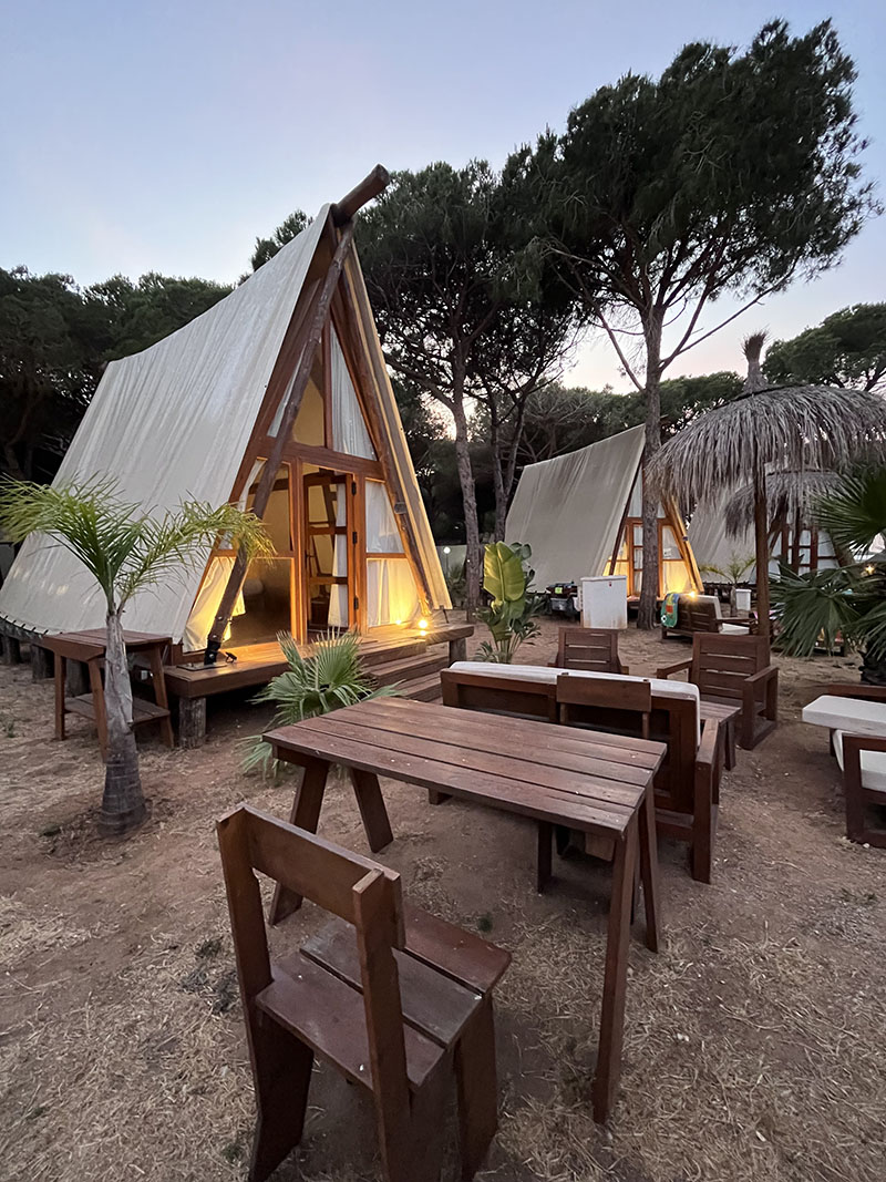 Septiembre es el nuevo agosto y Taiga una buena alternativa