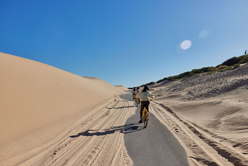 Septiembre es el nuevo agosto y Taiga una buena alternativa