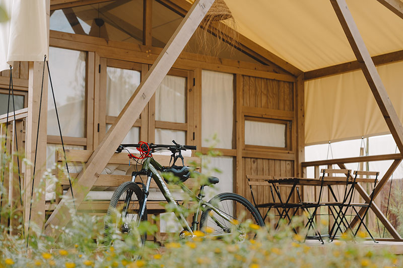 Septiembre es el nuevo agosto y Taiga una buena alternativa