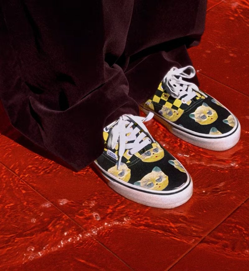 Zapatillas de skate de lujo