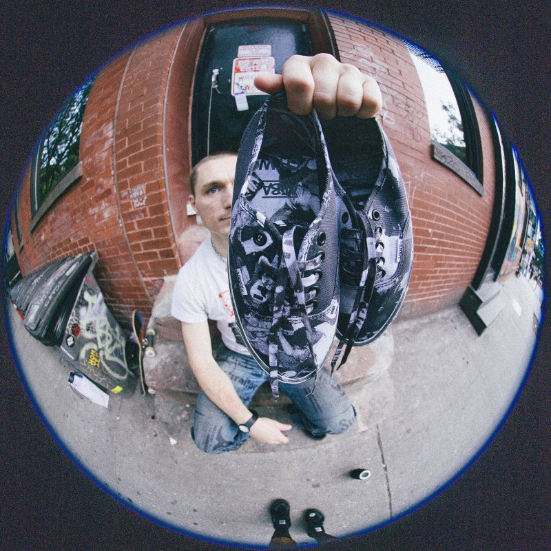 Zapatillas de skate Vans Authentic estampadas