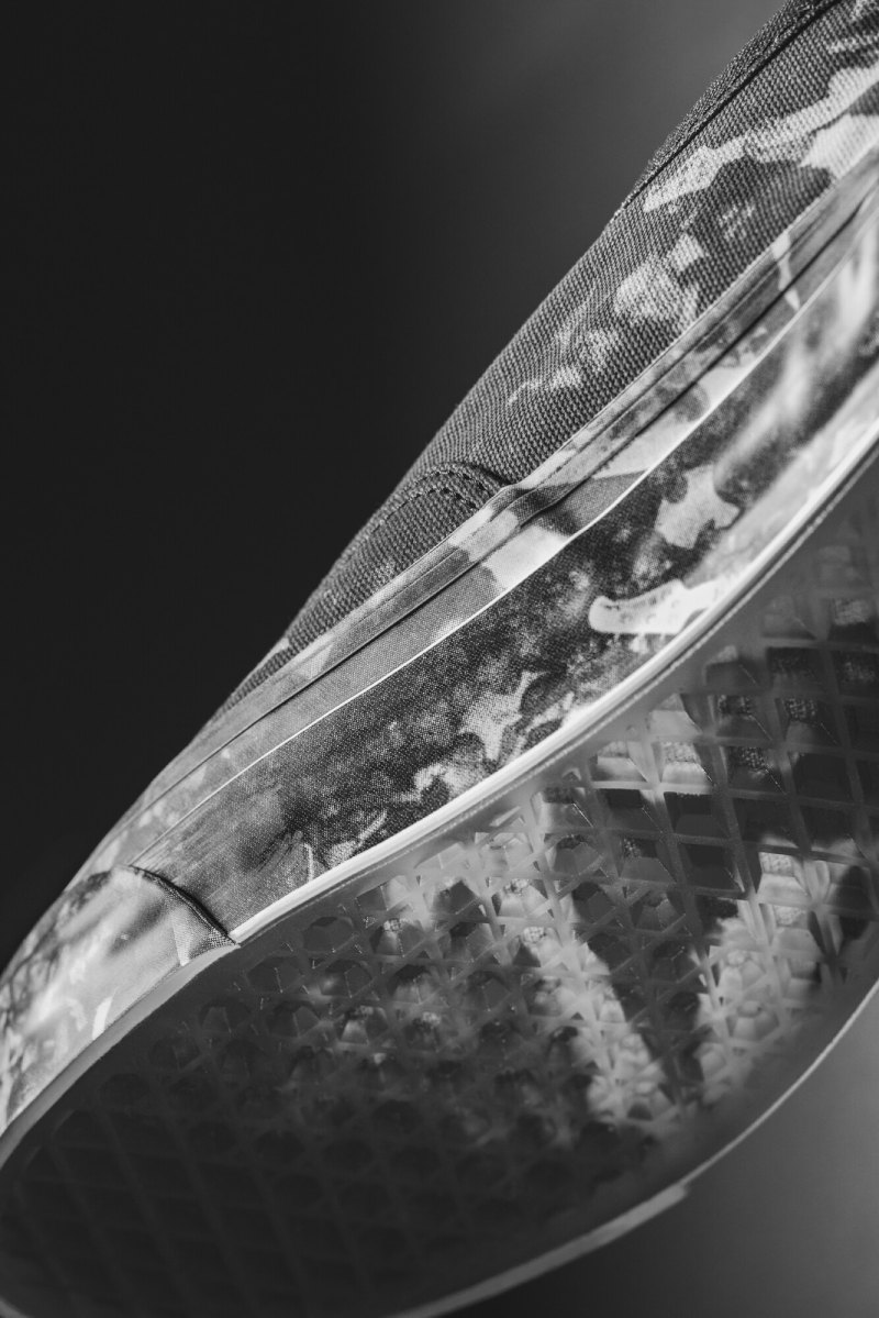 Zapatillas de skate Vans Authentic estampadas