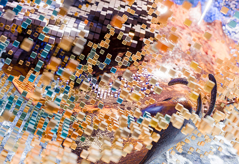 Formas marinas creadas digitalmente.