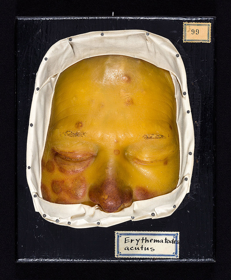 vista de cuerpos clínicos