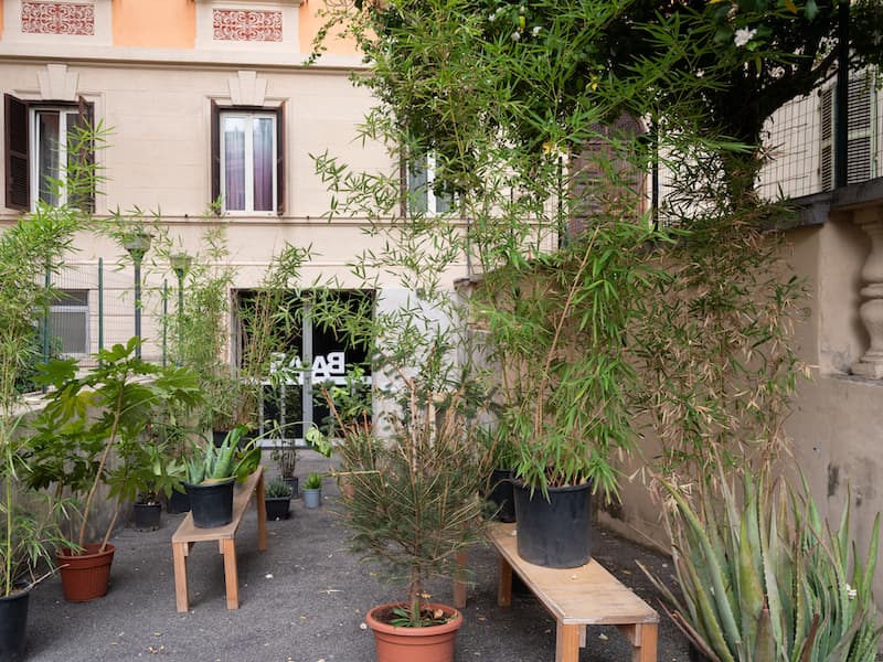 BAAB, Basement Art Assembly Biennial, vista instalacion