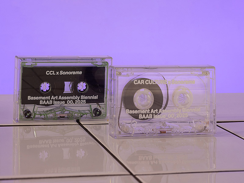 BAAB, Basement Art Assembly Biennial, vista instalacion