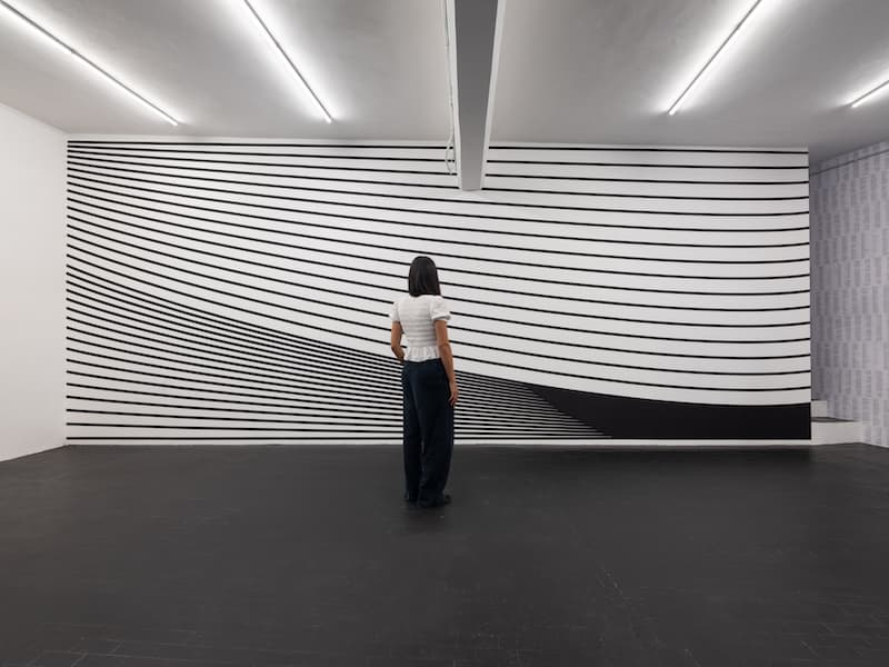 BAAB, Basement Art Assembly Biennial, vista instalacion