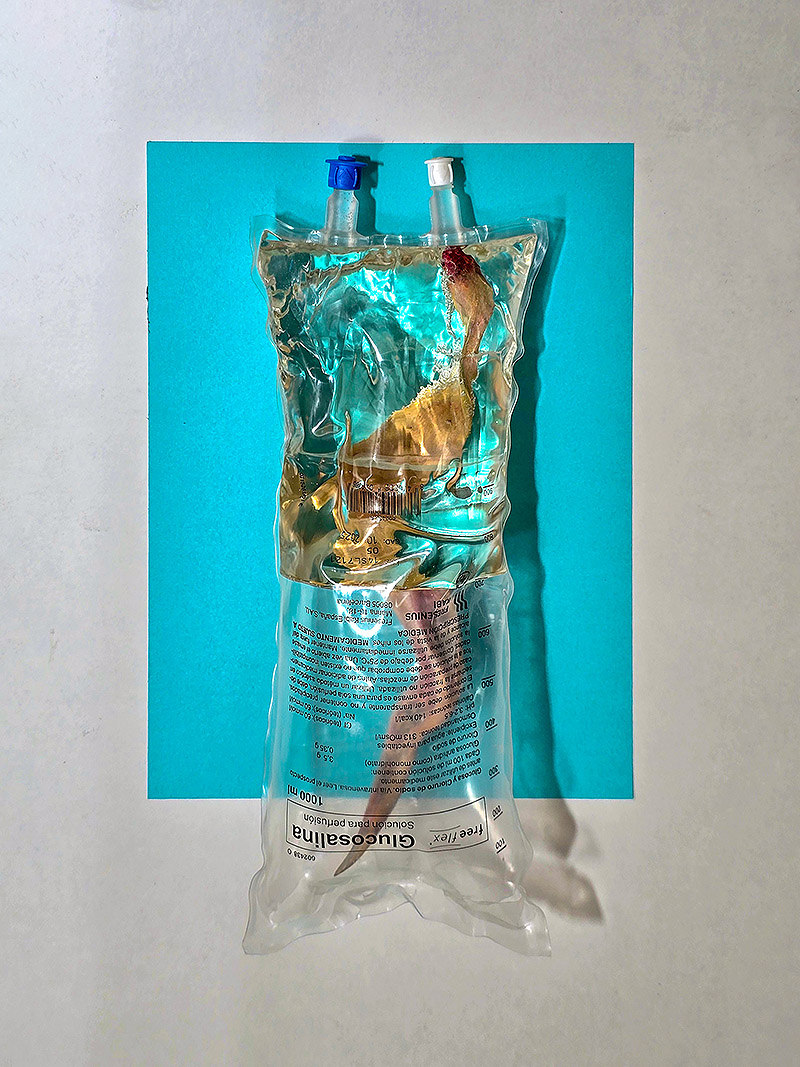 Vista de instalación en la exposición inaugural