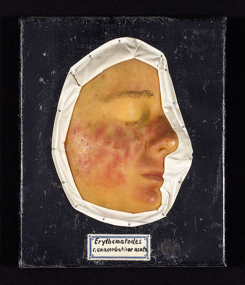 vista de cuerpos clínicos