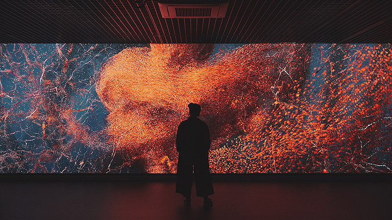 Imagen de silueta ante proyecciones que parecen el interior del cuerpo