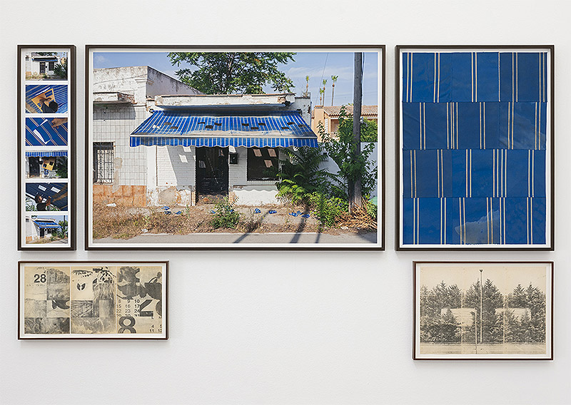 Luce - Imagen de instalación artística en una galería - vista de cuadros en la pared