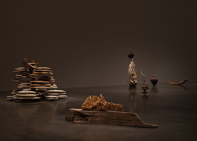 Vistas de exposición en tonos tierra