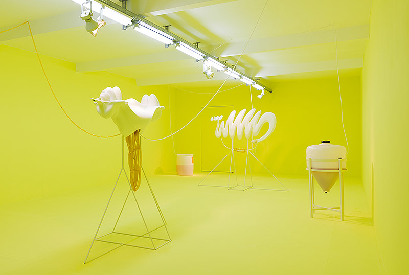 Vista general de la exposición con fondo verde