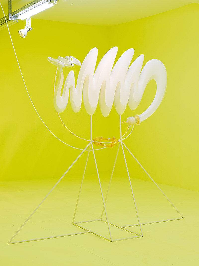 Vista general de la exposición con fondo amarillo