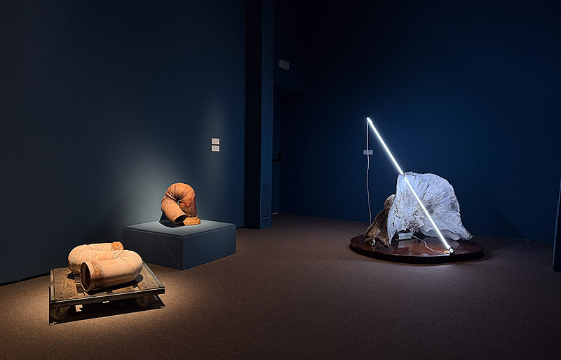 Vista general de la exposición