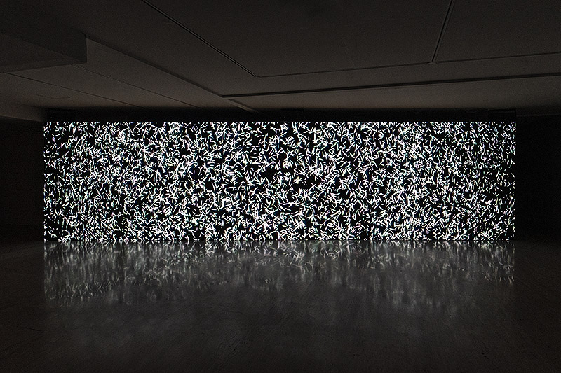 Vista de proyección inmersiva en negros