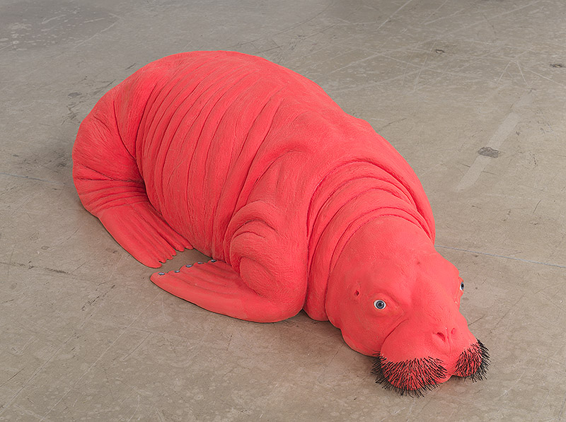 Imagen de morsa roja