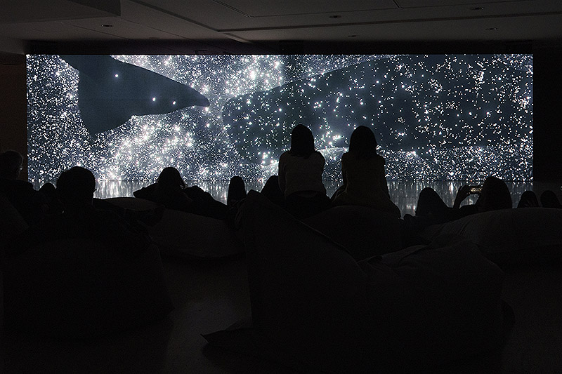 Vista de proyección inmersiva.