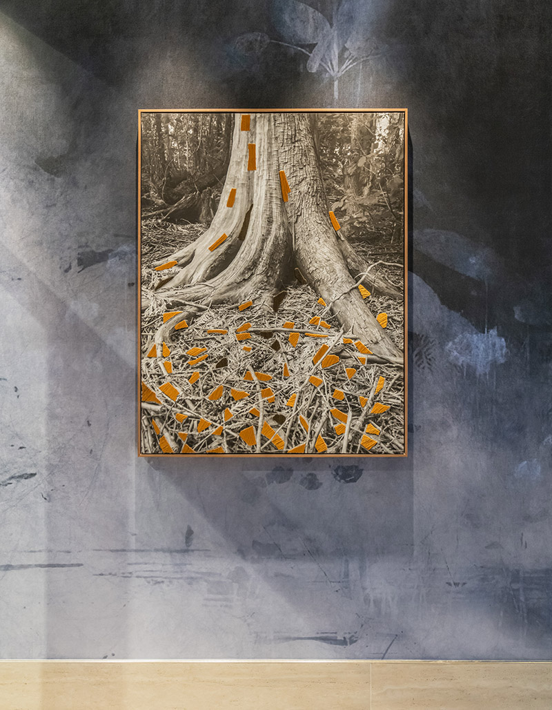 VP Hoteles - imagen de pintura de arbol