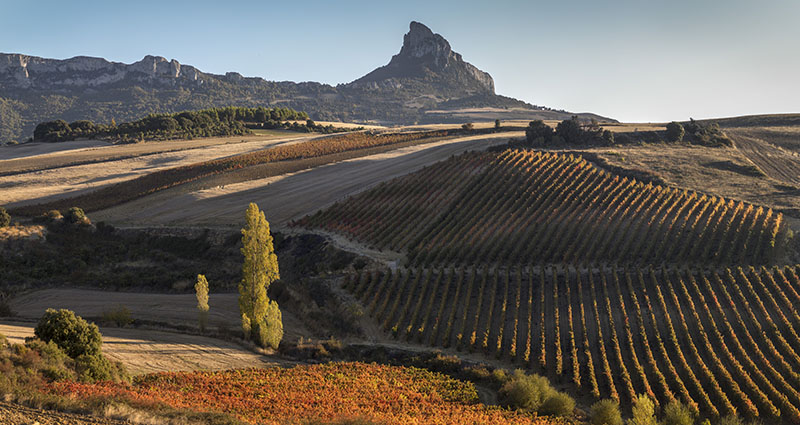 Viñedos de Kripán, origen de Aistear 2016 de Bodega 202, con la silueta de la Sierra Cantabria al fondo.