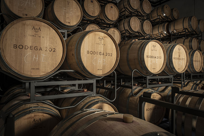 Sala de barricas de Bodega 202 donde reposa Aistear 2016 durante su crianza
