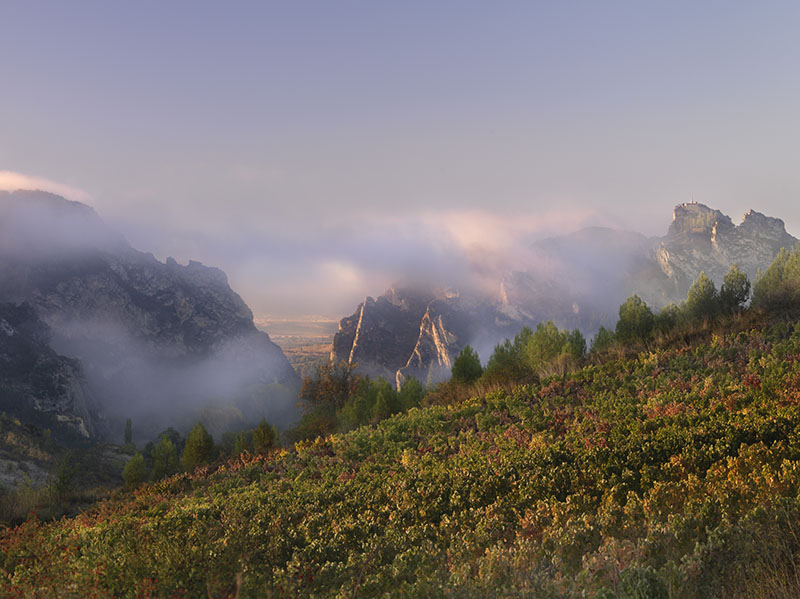 Viñedos de Salinillas de Buradón, una de las parcelas que dan origen a Aistear 2016 de Bodega 202