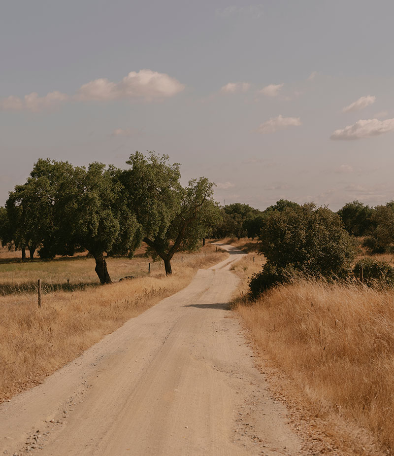Arclinea cocina historias en Extraordinary, Everyday