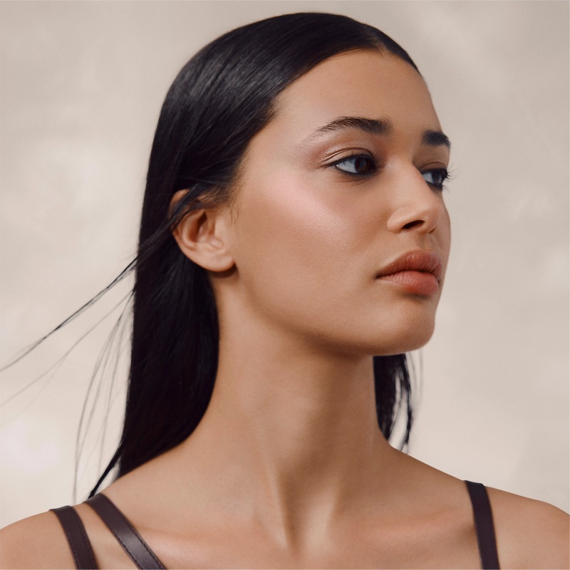 brochas pinceles maquillaje hermès