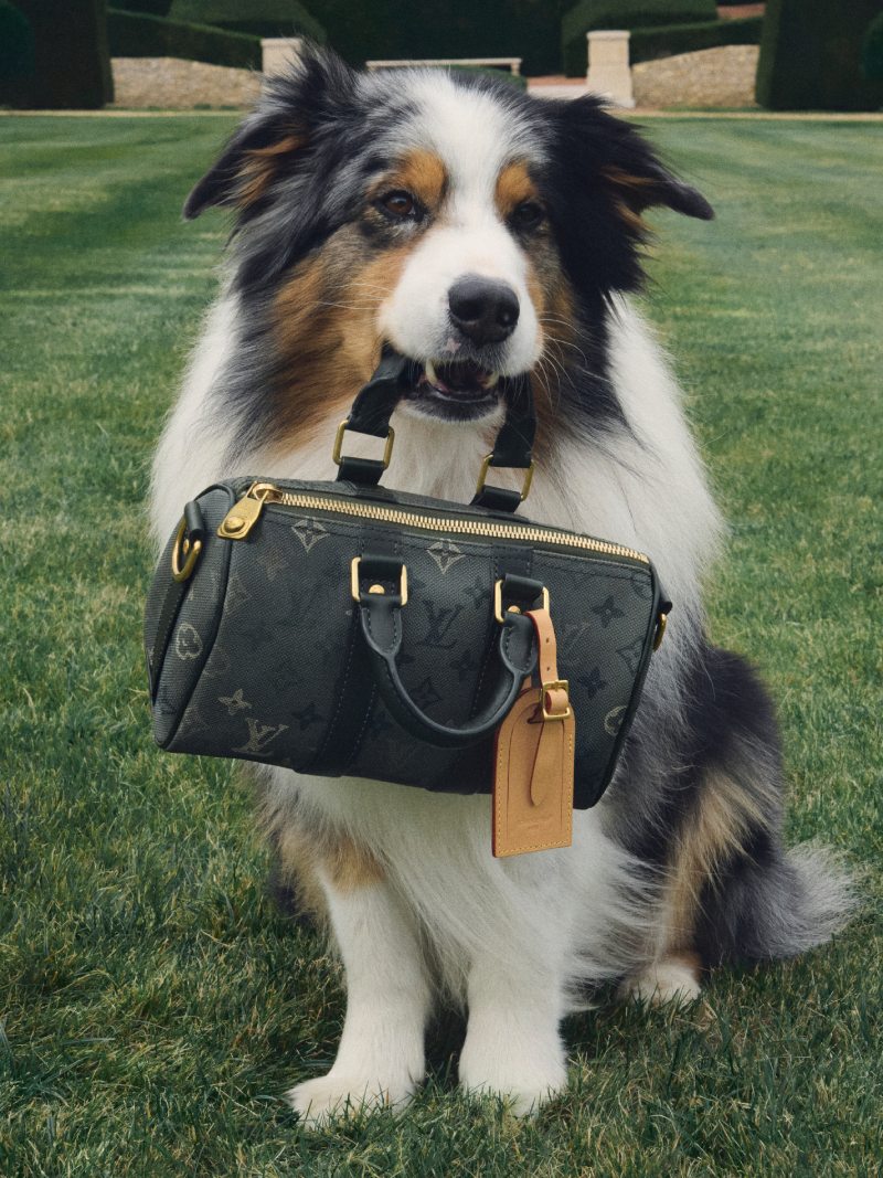 Callum Turner y Bellingham son los dandys de Louis Vuitton